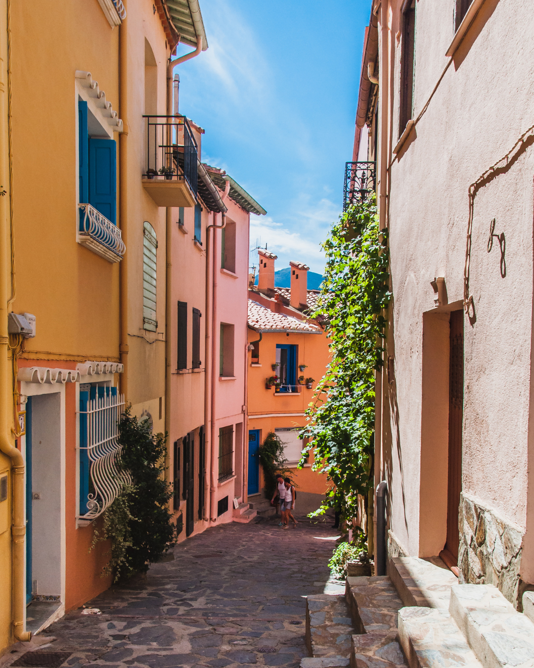 Peinture à Perpignan et Pyrénées-Orientales Aragon 66 peinture